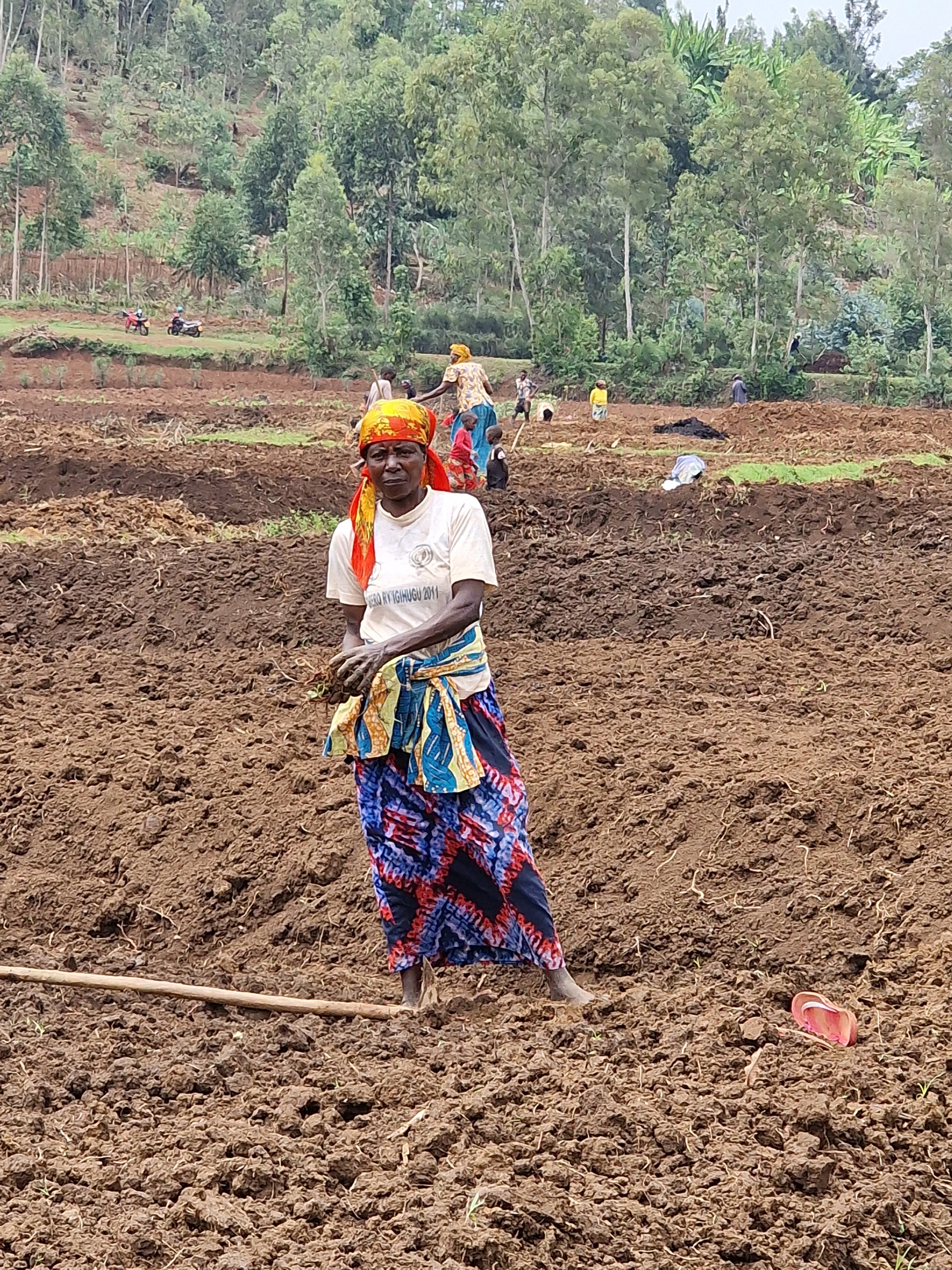 SACRED ORIGINS - RWANDA KULA PROJECT - NZIZA CYANE MICROLOT GREEN COFFEE