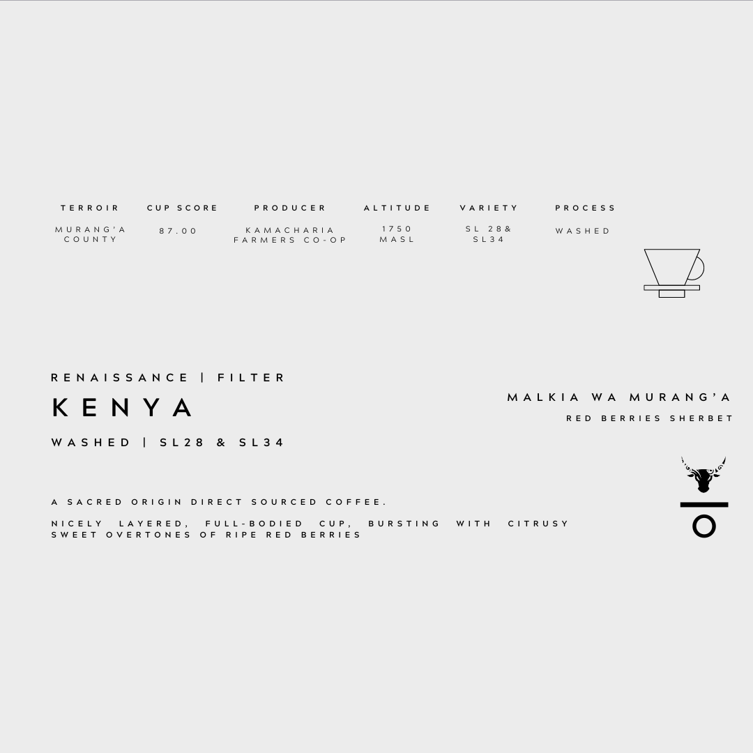 Filter - Kenya Malkia Wa Murang'a 250g