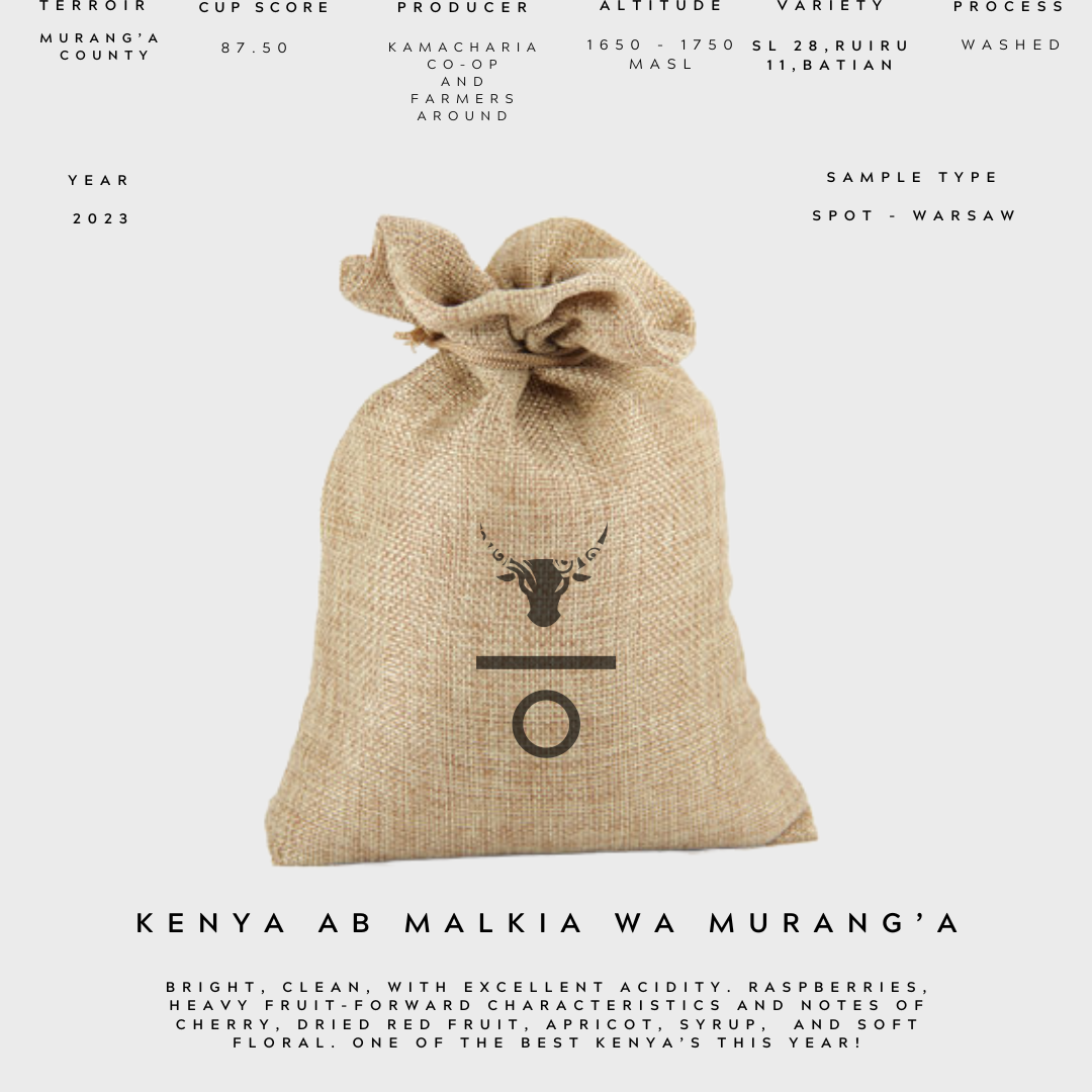 SACRED ORIGINS - KENYA AB MALKIA WA MURANG’A GREEN COFFEE