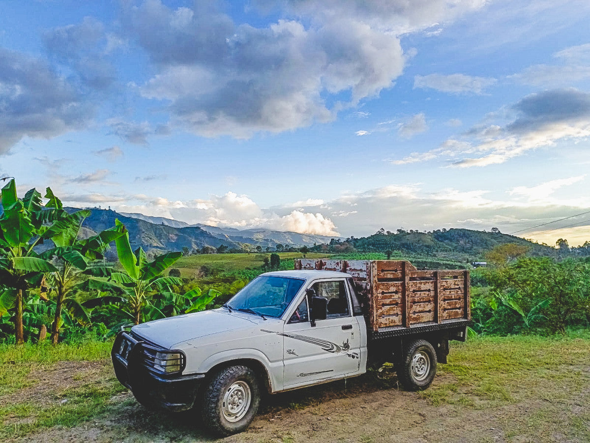 Forbidden Fruit - Colombia Las Patios Espresso (Geisha -WASHED-FRUIT INFUSED EXPERIMENTAL) 200g